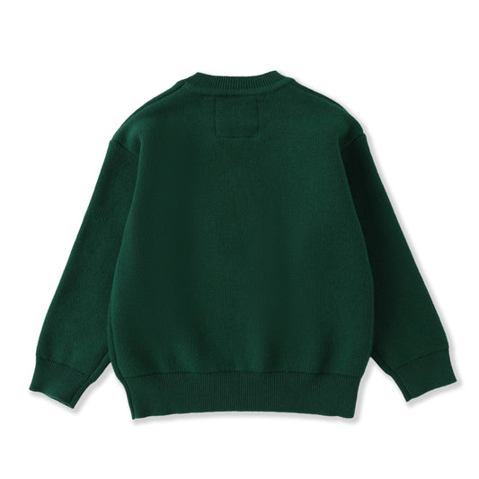 Green Santa Sweater