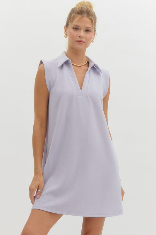 Lavender Casual V Neck Dress
