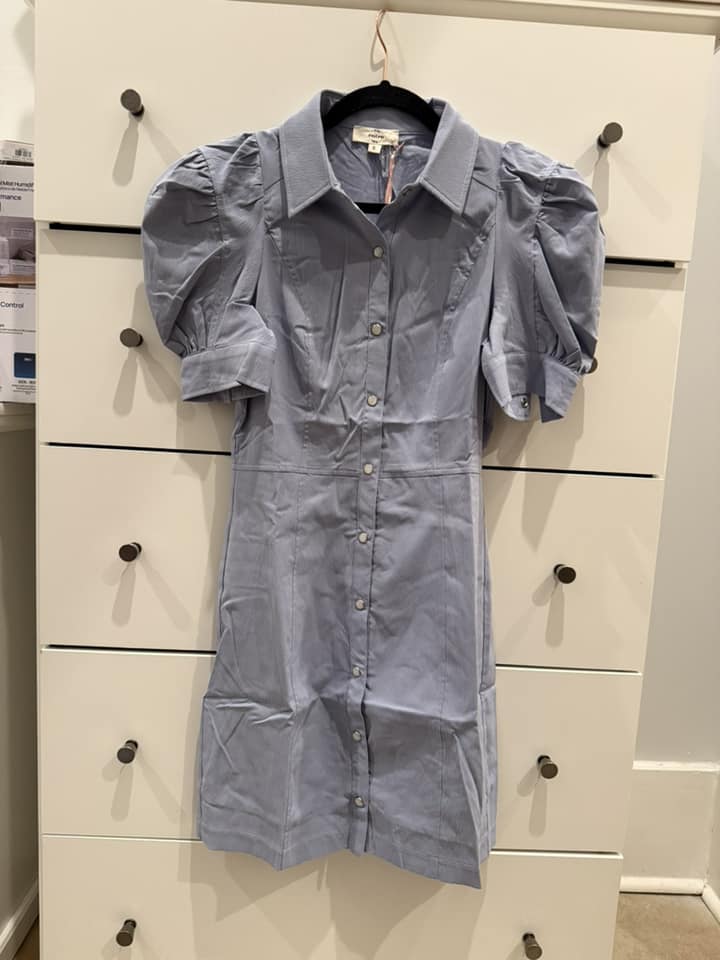 Chambray Fitted Dress